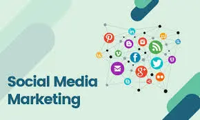 social media marketing agency in wayanad